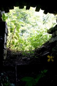 20080531_5681 Kopie.jpg